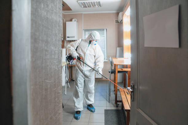 Best Mold Removal for HVAC Installations  in Portage, IN